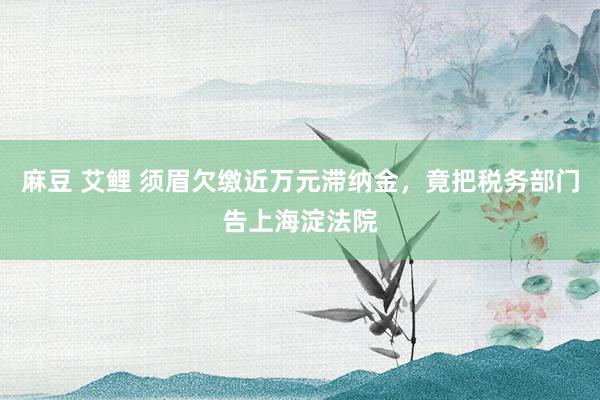 麻豆 艾鲤 须眉欠缴近万元滞纳金，竟把税务部门告上海淀法院