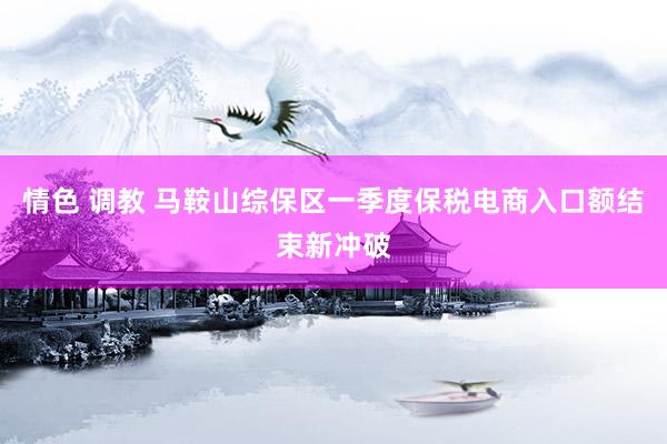 情色 调教 马鞍山综保区一季度保税电商入口额结束新冲破