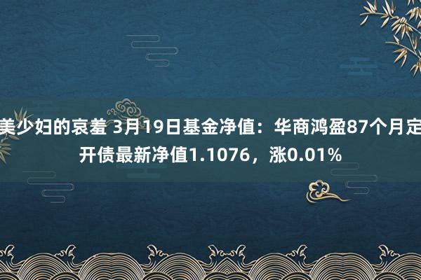 美少妇的哀羞 3月19日基金净值：华商鸿盈87个月定开债最新净值1.1076，涨0.01%