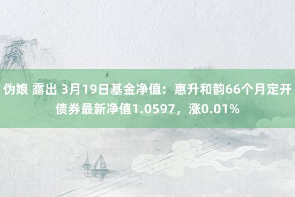 伪娘 露出 3月19日基金净值：惠升和韵66个月定开债券最新净值1.0597，涨0.01%