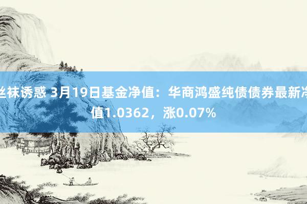 丝袜诱惑 3月19日基金净值：华商鸿盛纯债债券最新净值1.0362，涨0.07%