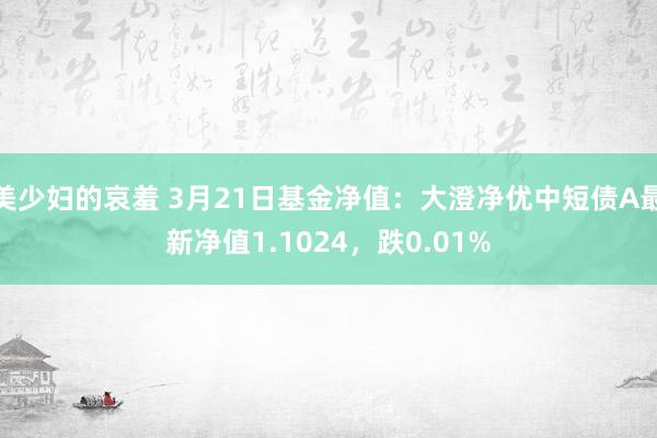 美少妇的哀羞 3月21日基金净值：大澄净优中短债A最新净值1.1024，跌0.01%