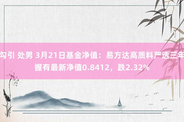 勾引 处男 3月21日基金净值：易方达高质料严选三年握有最新净值0.8412，跌2.32%