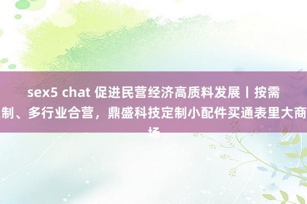 sex5 chat 促进民营经济高质料发展丨按需定制、多行业合营，鼎盛科技定制小配件买通表里大商场