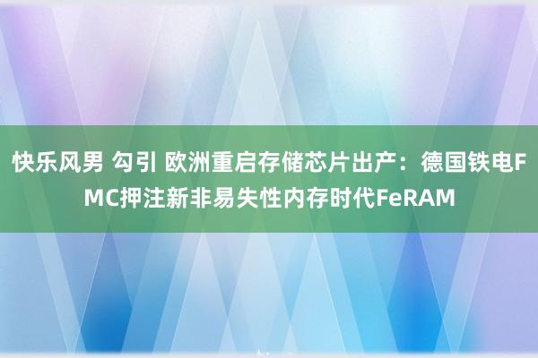 快乐风男 勾引 欧洲重启存储芯片出产：德国铁电FMC押注新非易失性内存时代FeRAM