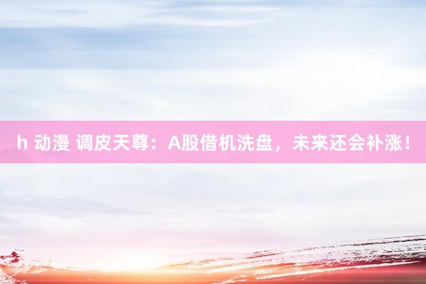 h 动漫 调皮天尊：A股借机洗盘，未来还会补涨！