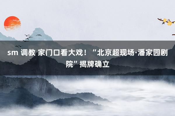 sm 调教 家门口看大戏！“北京超现场·潘家园剧院”揭牌确立