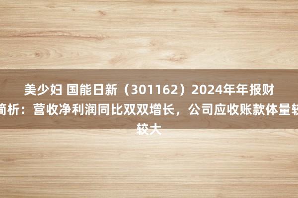 美少妇 国能日新（301162）2024年年报财务简析：营收净利润同比双双增长，公司应收账款体量较大