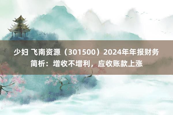 少妇 飞南资源（301500）2024年年报财务简析：增收不增利，应收账款上涨
