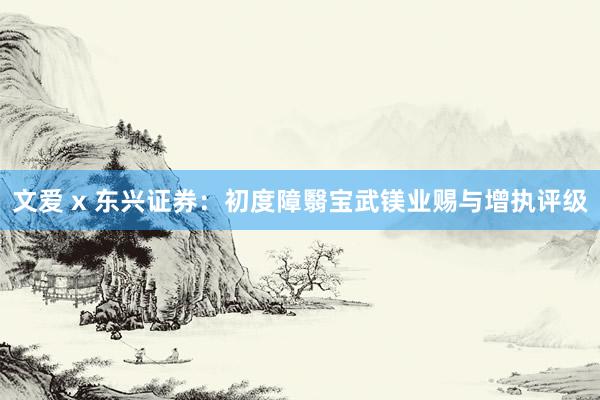 文爱 x 东兴证券：初度障翳宝武镁业赐与增执评级