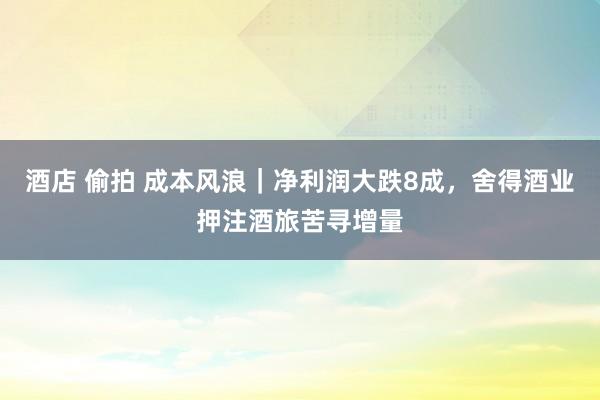 酒店 偷拍 成本风浪｜净利润大跌8成，舍得酒业押注酒旅苦寻增量