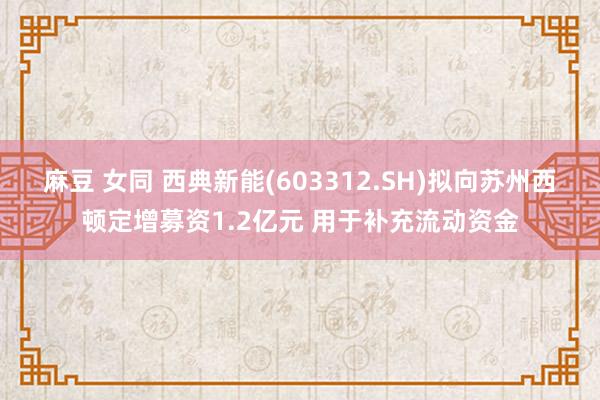 麻豆 女同 西典新能(603312.SH)拟向苏州西顿定增募资1.2亿元 用于补充流动资金