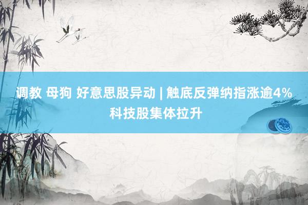 调教 母狗 好意思股异动 | 触底反弹纳指涨逾4% 科技股集体拉升