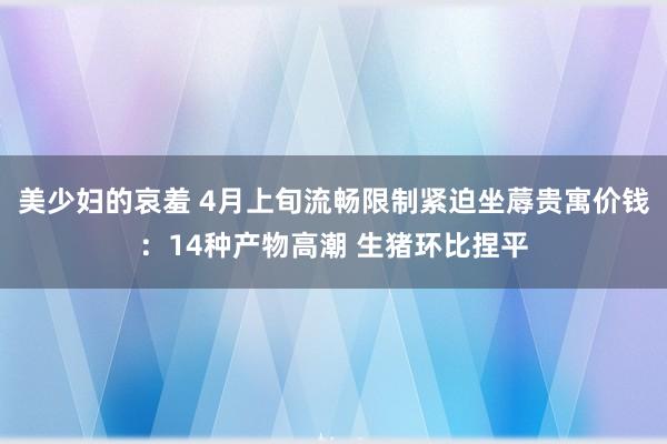 美少妇的哀羞 4月上旬流畅限制紧迫坐蓐贵寓价钱：14种产物高潮 生猪环比捏平