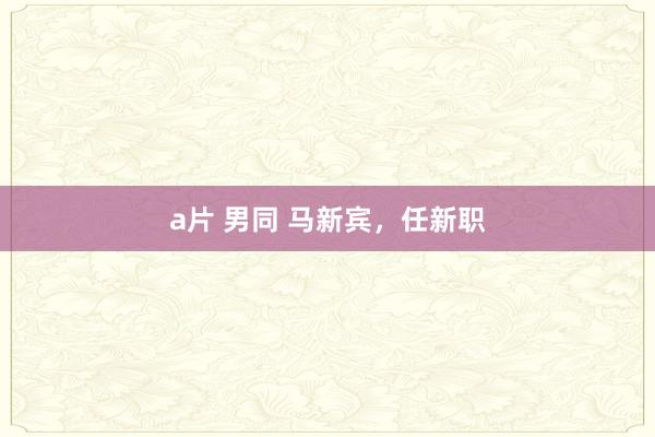 a片 男同 马新宾，任新职