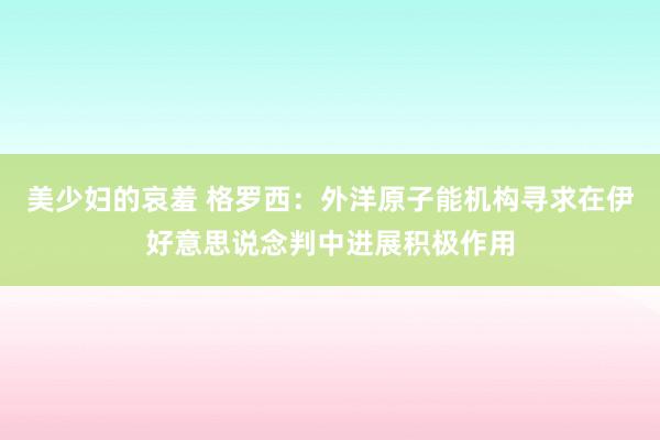 美少妇的哀羞 格罗西：外洋原子能机构寻求在伊好意思说念判中进展积极作用