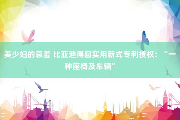 美少妇的哀羞 比亚迪得回实用新式专利授权：“一种座椅及车辆”