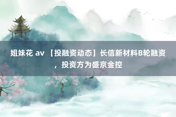 姐妹花 av 【投融资动态】长信新材料B轮融资，投资方为盛京金控