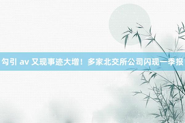 勾引 av 又现事迹大增！多家北交所公司闪现一季报