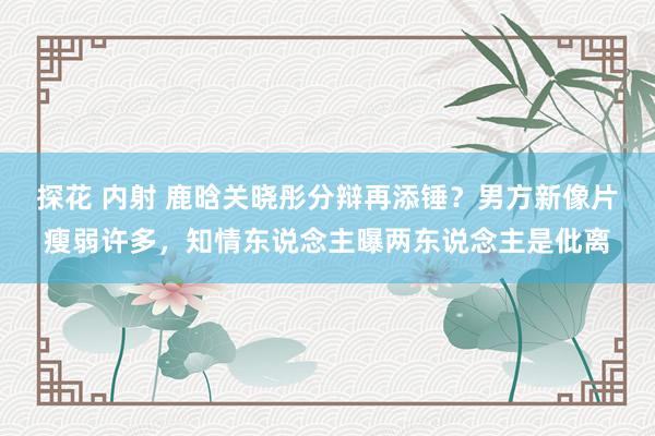 探花 内射 鹿晗关晓彤分辩再添锤？男方新像片瘦弱许多，知情东说念主曝两东说念主是仳离