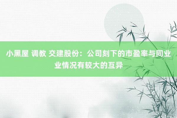 小黑屋 调教 交建股份：公司刻下的市盈率与同业业情况有较大的互异