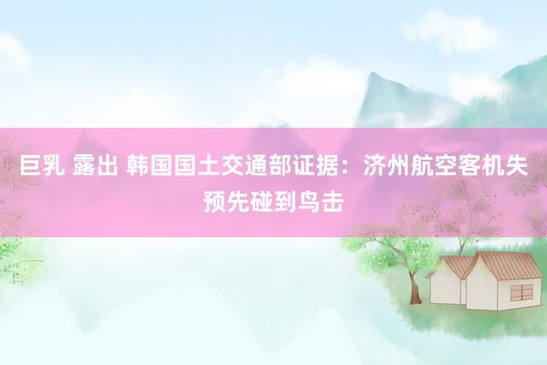 巨乳 露出 韩国国土交通部证据：济州航空客机失预先碰到鸟击