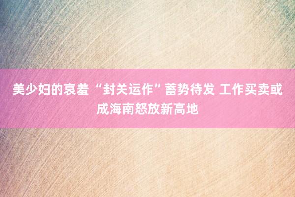 美少妇的哀羞 “封关运作”蓄势待发 工作买卖或成海南怒放新高地