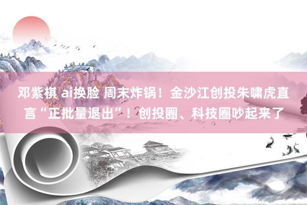 邓紫棋 ai换脸 周末炸锅！金沙江创投朱啸虎直言“正批量退出”！创投圈、科技圈吵起来了