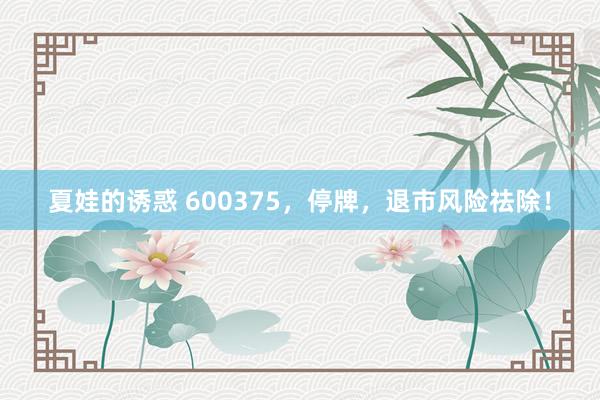 夏娃的诱惑 600375，停牌，退市风险祛除！