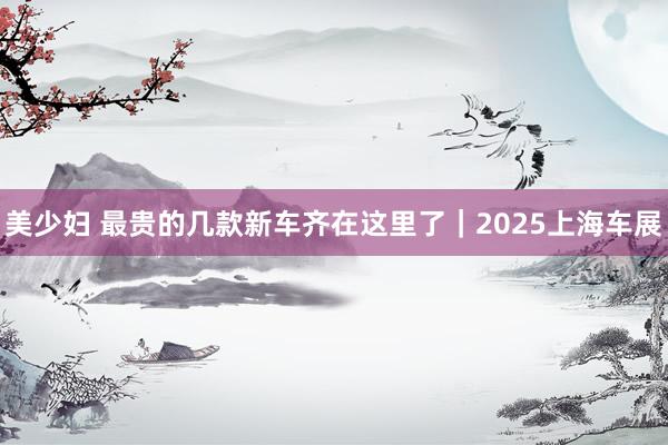 美少妇 最贵的几款新车齐在这里了｜2025上海车展