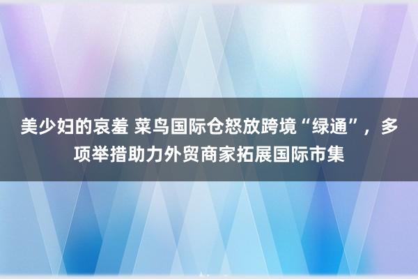美少妇的哀羞 菜鸟国际仓怒放跨境“绿通”，多项举措助力外贸商家拓展国际市集