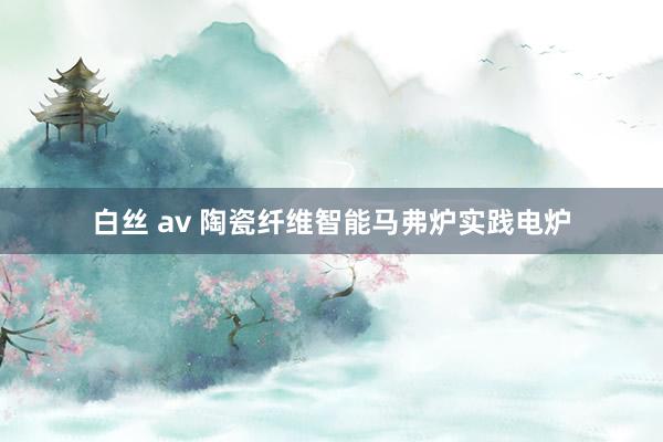 白丝 av 陶瓷纤维智能马弗炉实践电炉